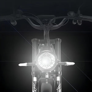 ridstar ebike q20 pro headlight