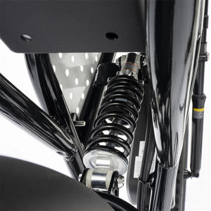 ridstar electric bikes, ridstar q20 lite