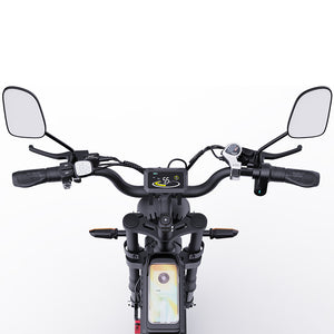 ridstar electric adult bike q20 pro