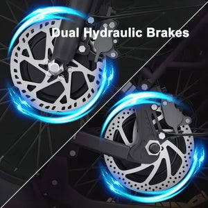 ridstar h20 pro, ridstar electric bikes