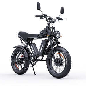 ridstar q20 pro adul tretro electric bike