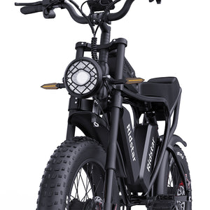 ridstar q20 pro adult retro electric bikes