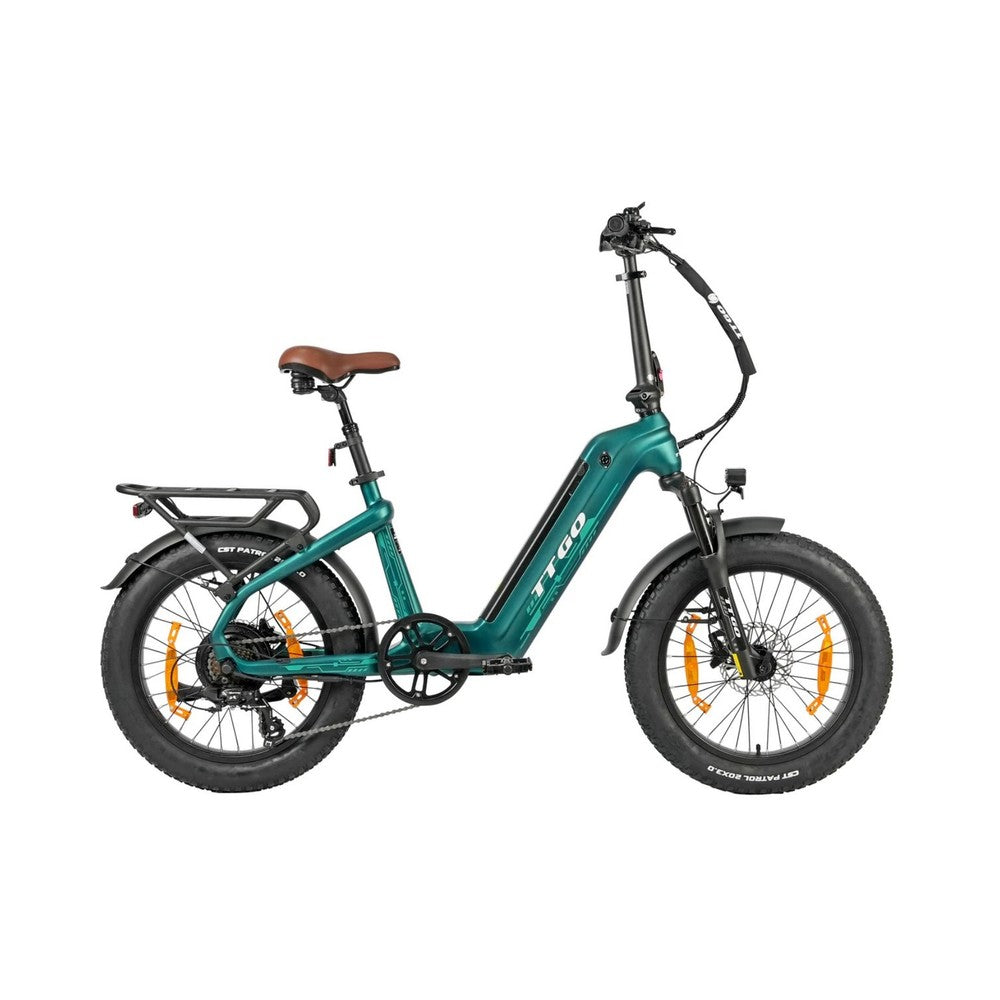 TTGO F8 20" Carbon Fiber Electric Bike 250W 48V 18Ah