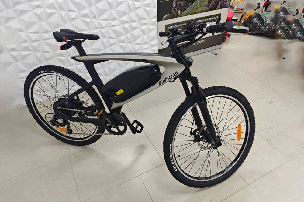 Caring for a Long-Range Electric Bike: Battery, Suspension, and Brake Essentials
