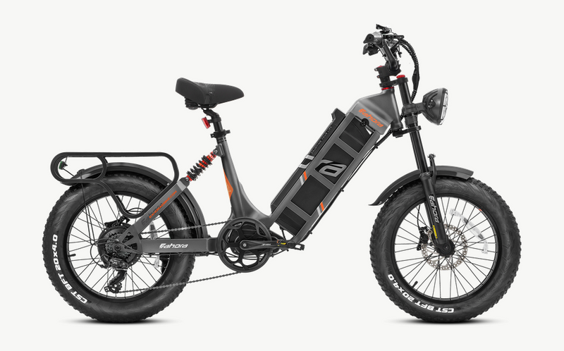 eAhora Juliet Electric Bike 48V60AH Battery 1000W Motor