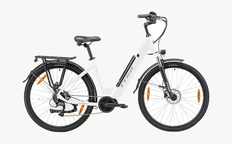 TTGO ZZ-28ST Step-Through Electric Bike BAFANG Mid Motor 36V250W 20Ah