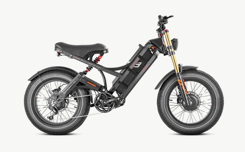 eAhora Romeo II Dual Motor Electric Bike 2500W 52V 60Ah