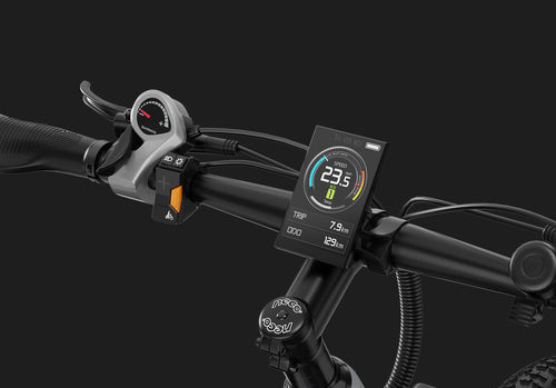 Your Ride at a Glance