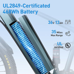 Adult Electric Bike 36V 13Ah