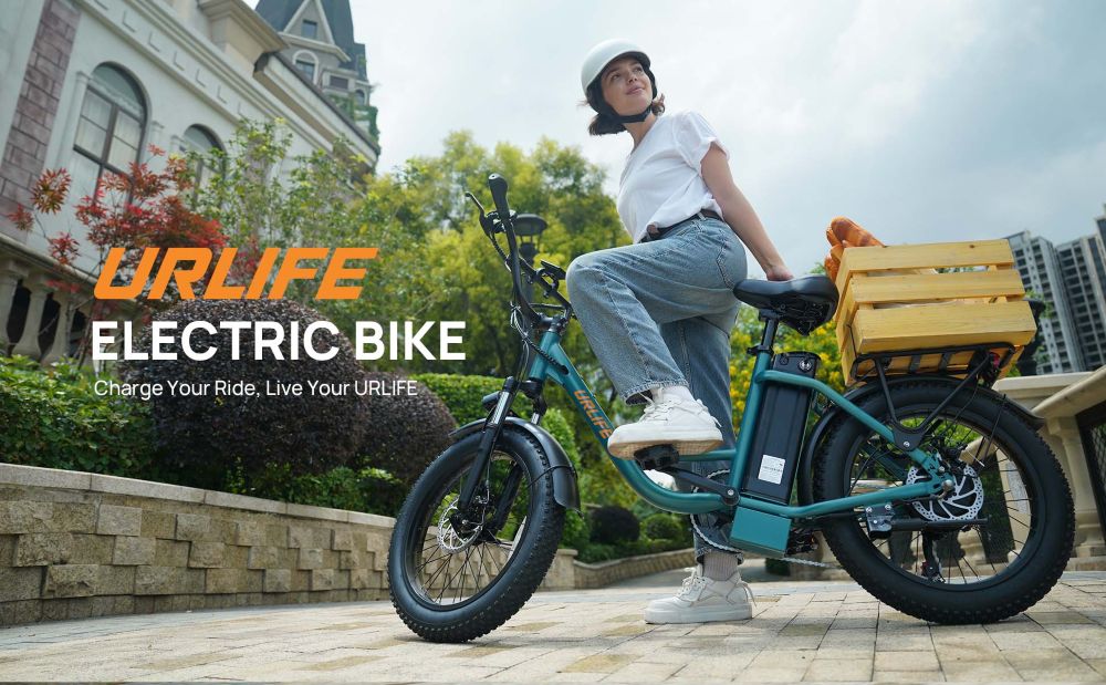 URLIFE Electric Bike