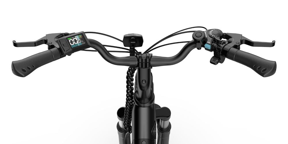 City Electric Bike URLIFE E26 250W Display