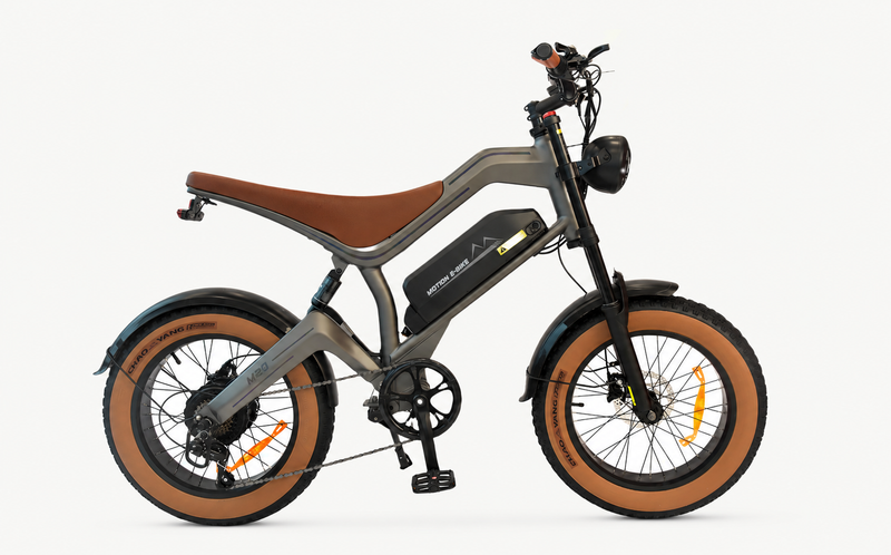 Electeic Bike DYU M20
