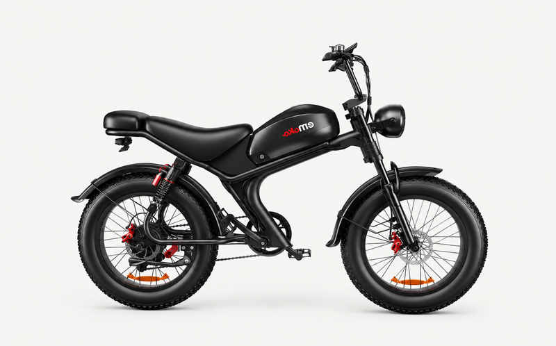 Emoko C93 Moped-Style Electric Bike 48V1000W20Ah