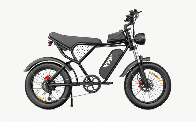 Ridstar Q20 Electric Bike 48V 1000W 20AH