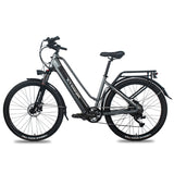 Electric Bike Grey