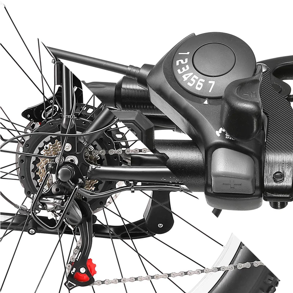Electric Bike Shimano 21 Speed