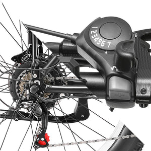 Electric Bike Shimano 21 Speed