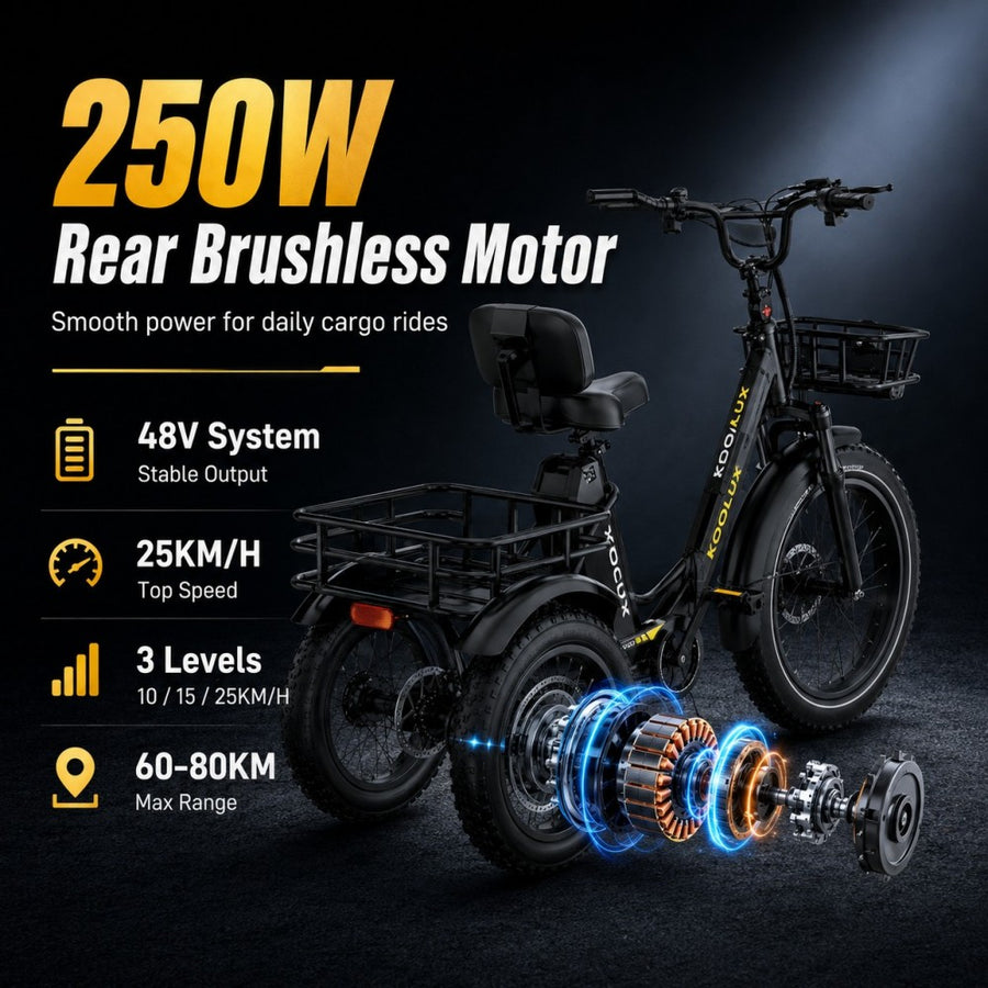 500W Peak Motor
