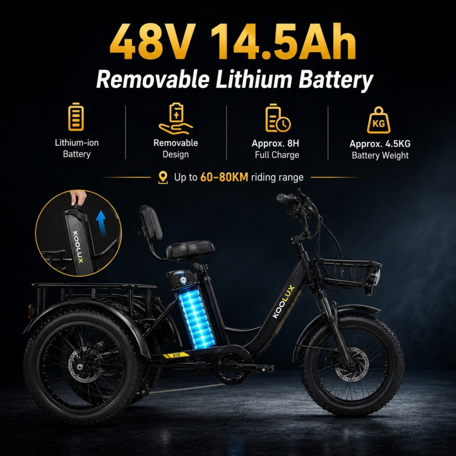 48V 14.5Ah Battery
