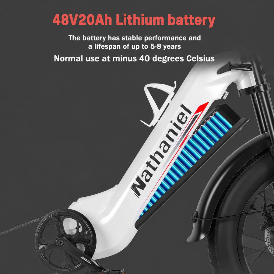 48V 20Ah Removable Battery