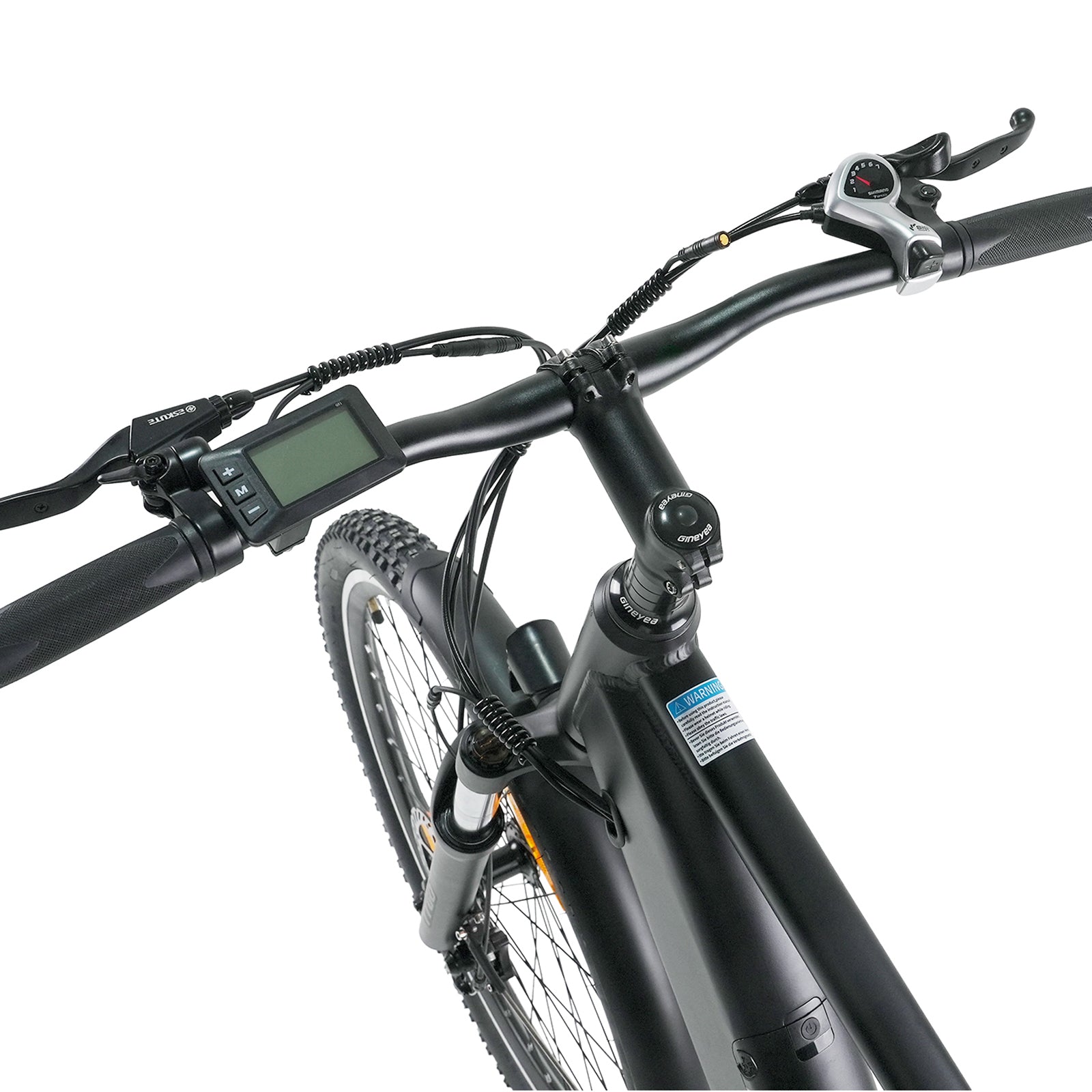 TTGO Adult Mountain Electric Bike M300 Black