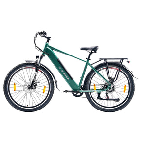TTGO Mountain Electric Bike Green 48V250W M310