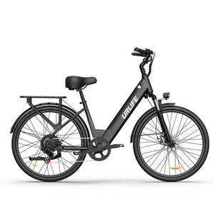 URLIFE Electric Bike E26 250W 36V 13Ah