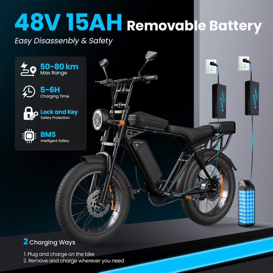 48V 15Ah Removable Battery