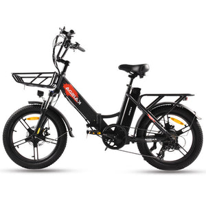 adult ebike, kaisda ebike