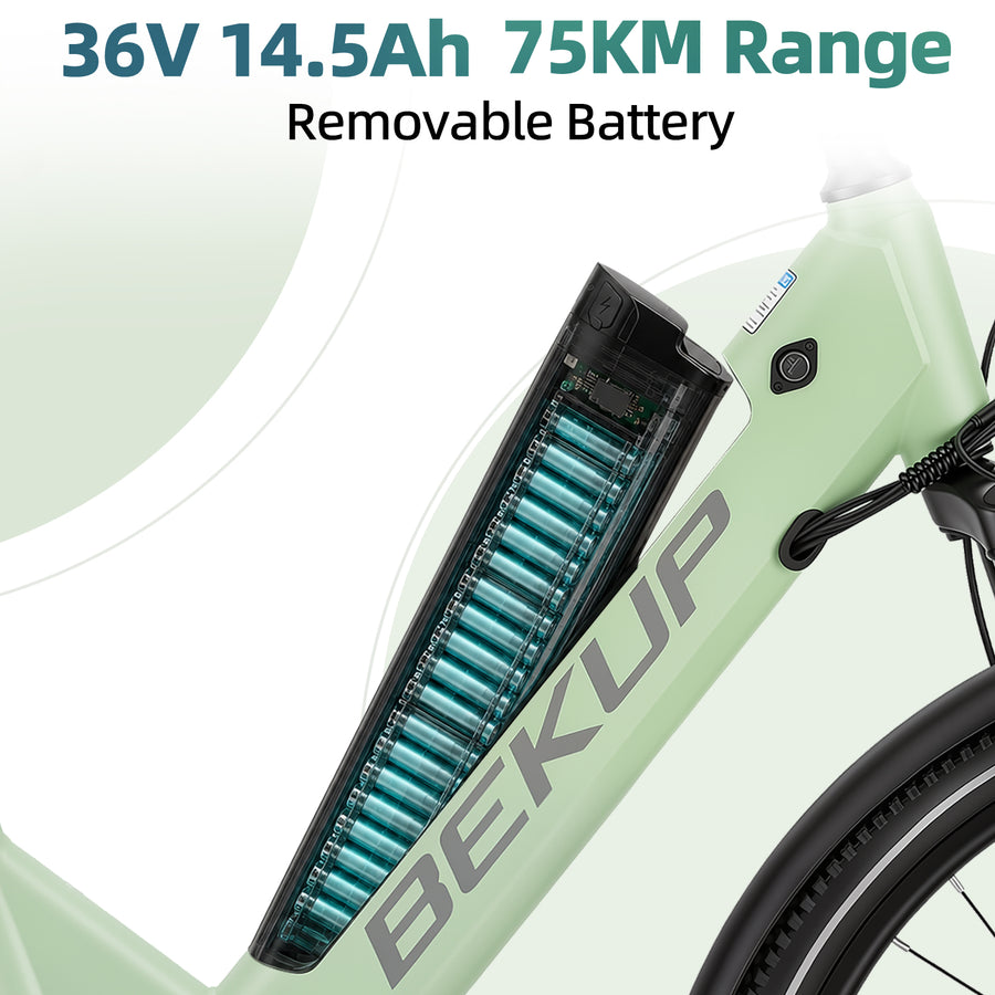 36V 14.5Ah Removable Battery
