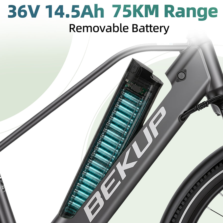 36V 14.5Ah Removable Battery