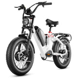 dual motor electric bike, eahora ebike