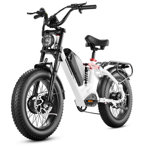 dual motor electric bike, eahora ebike