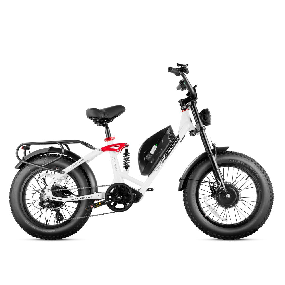 dual motor electric bike, eahora electric bike