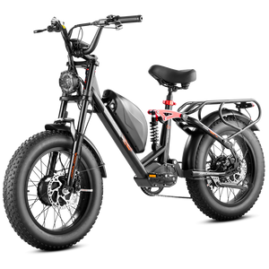 dual motor electric bikes, eahora electric bikes