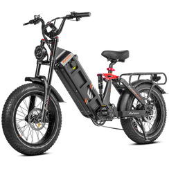 eAhora Juliet II Electric Bike