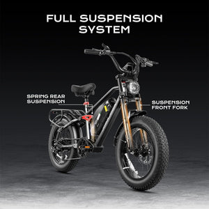 full suspension system of the eahora electric bike