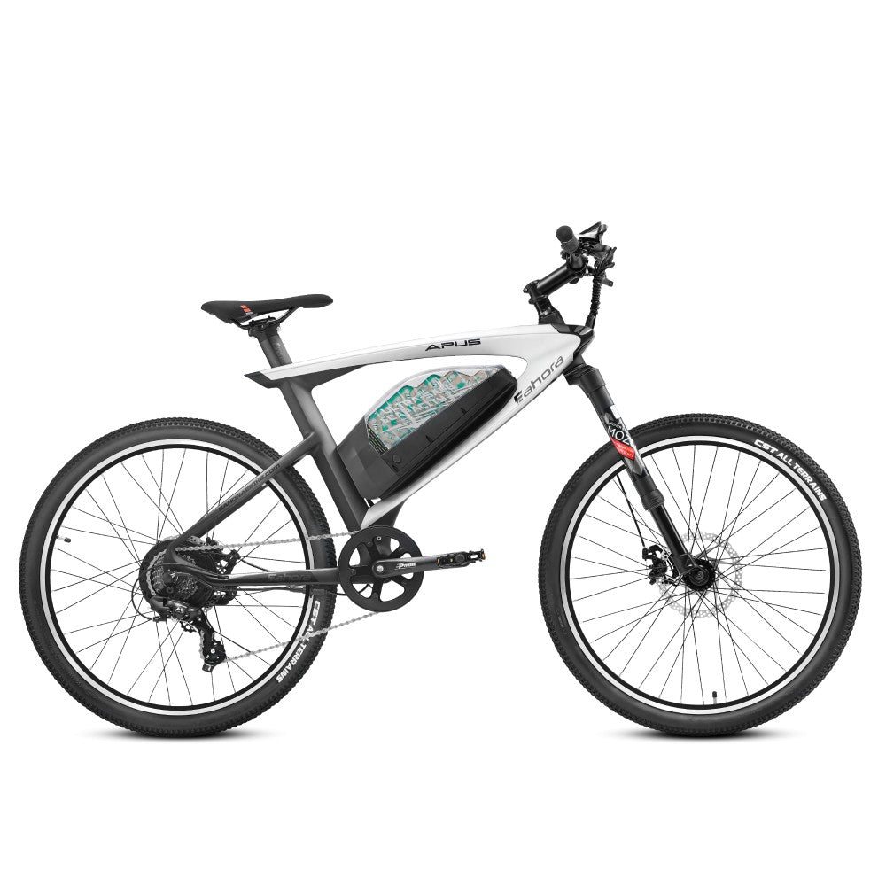 eahora APUS 26inch electric mountain bikes