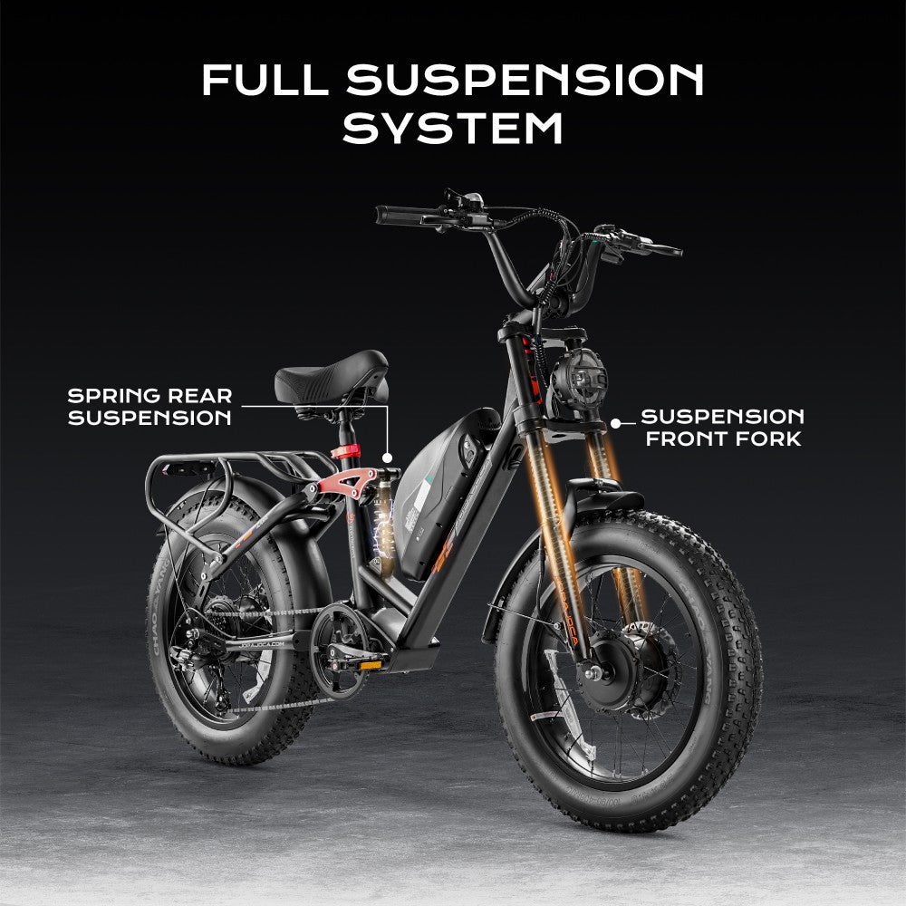 eAhora Luna II Electric Bike 500W*2 48V20Ah – Tabvelo