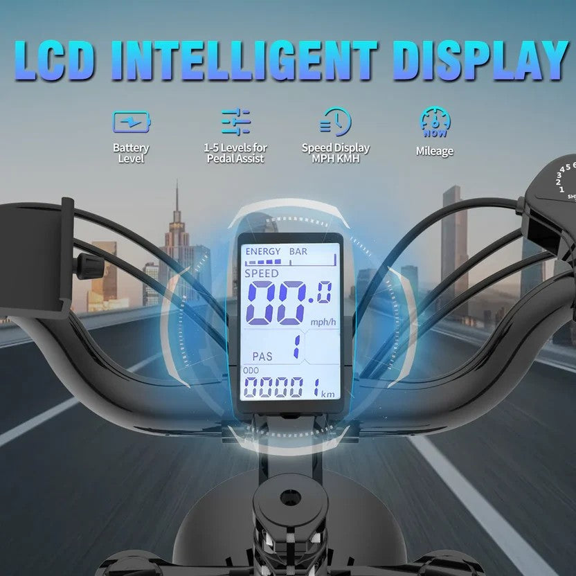 LCD Display