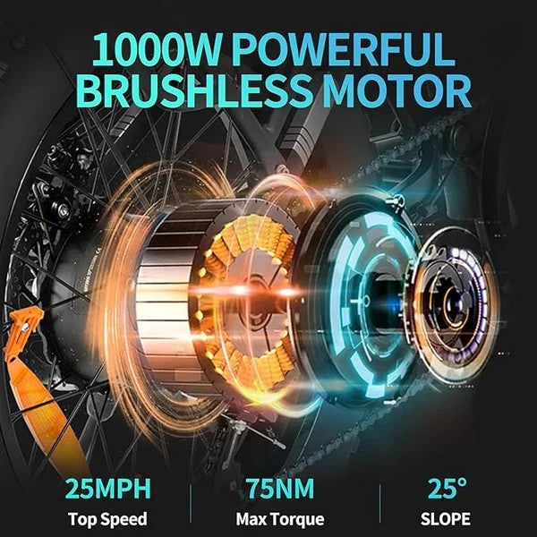 1000W Motor