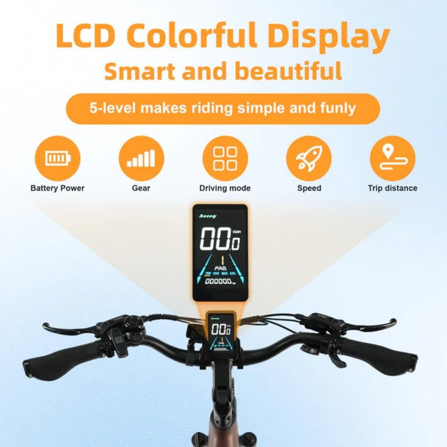 Smart Color LCD Display