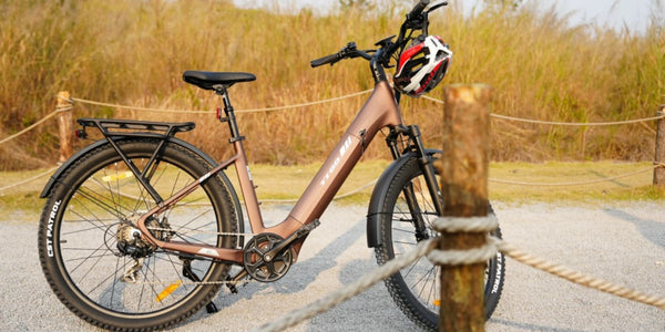 TTGO Z3 step-through frame detail