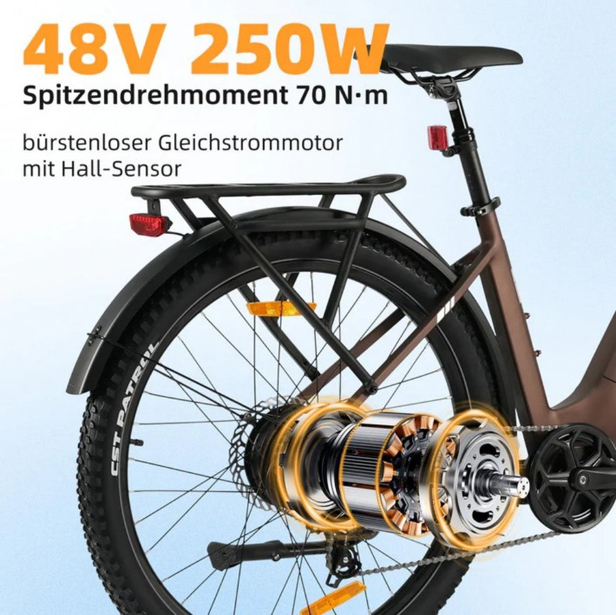 48V 250W Motor with 70Nm Torque