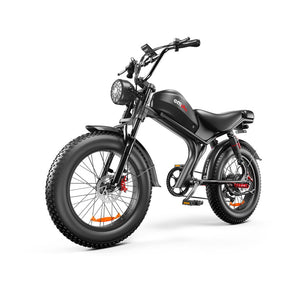 emoko c93 20inch Electric Bike