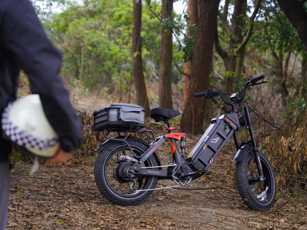 fat tire electric bike​s eahora JulietII ebike