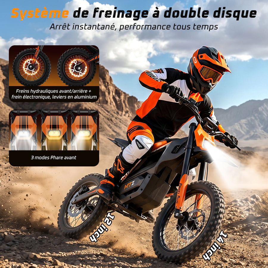Dual Disc Brake System