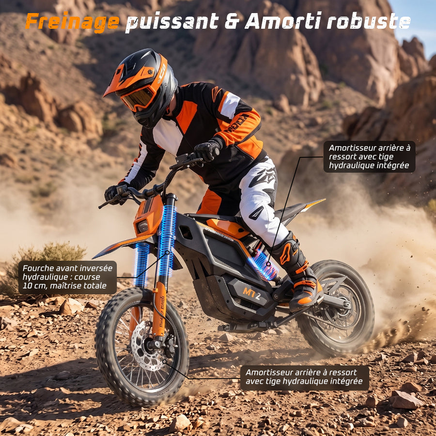 Front & Rear Shock Absorption