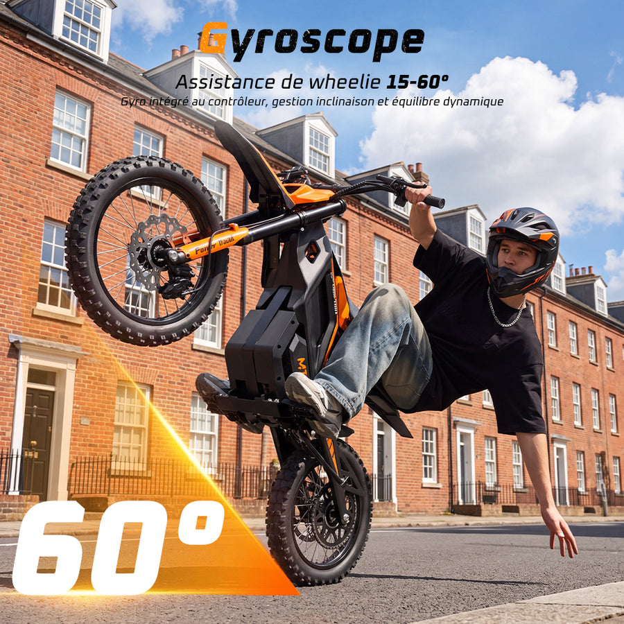 Gyroscope Riding Assistance