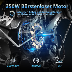 kaisda k201 electric bikes, 250W Motor